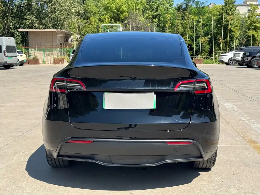 Tesla Model Y — миниатюра 11