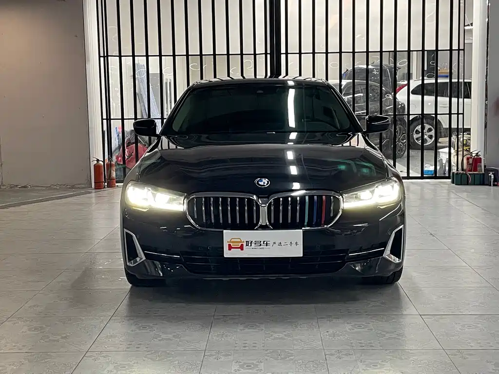 BMW 5 Series — миниатюра 2