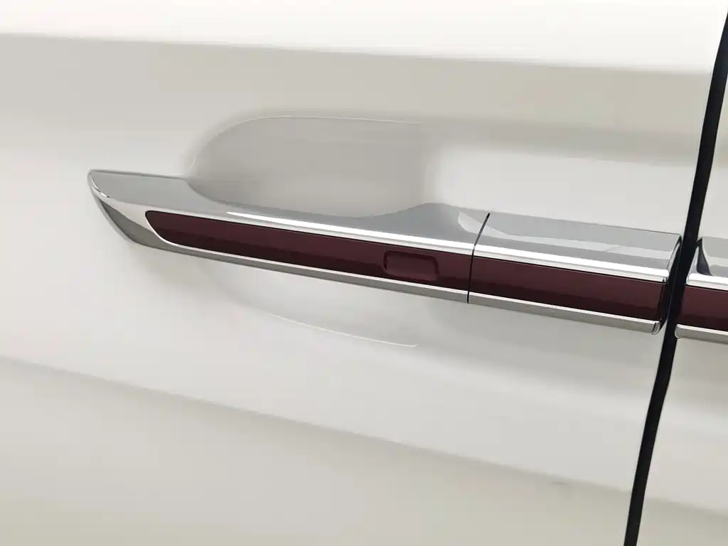 Hongqi Hongqi HQ9 — миниатюра 18