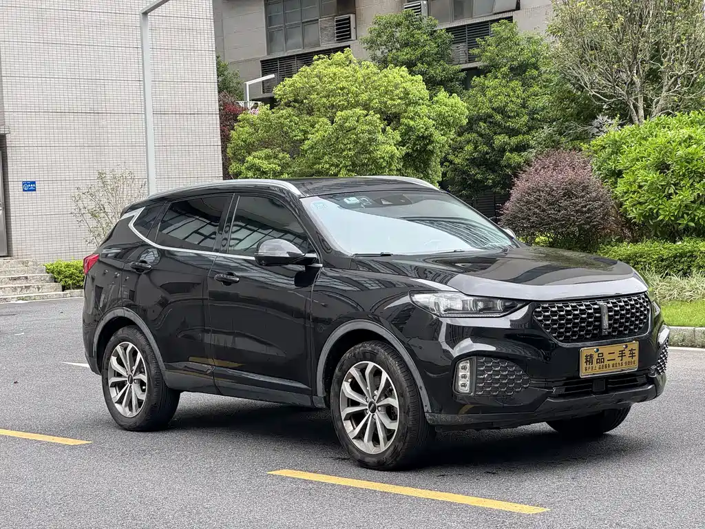 2020 Wey VV6 - zdjęcie 1 z 9