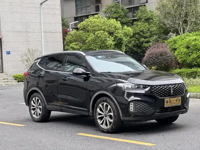 2020 Wey VV6