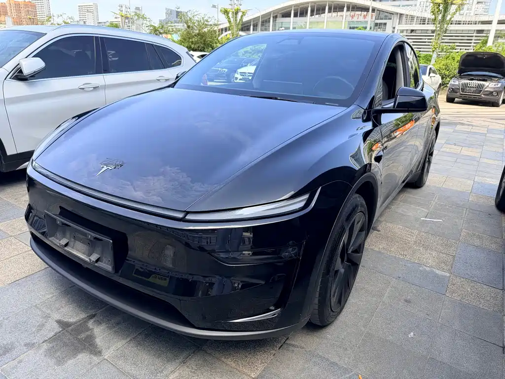 Tesla Model Y — фотографии объявления, Фото 2