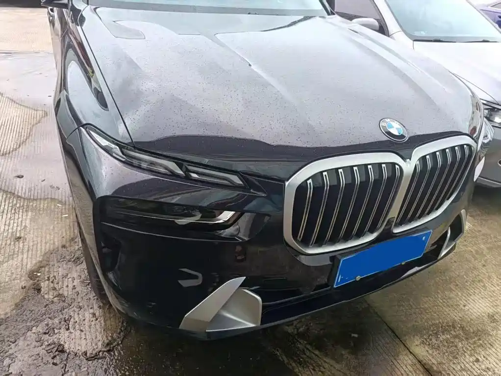 BMW X7 — миниатюра 2