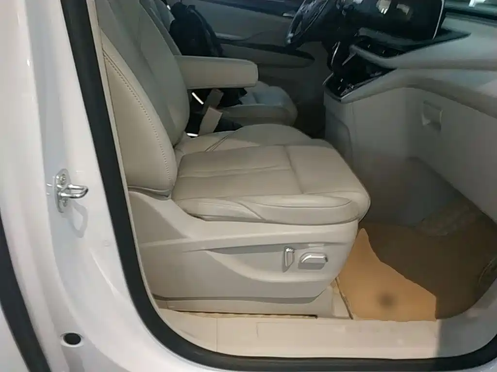 Buick GL8 — миниатюра 25