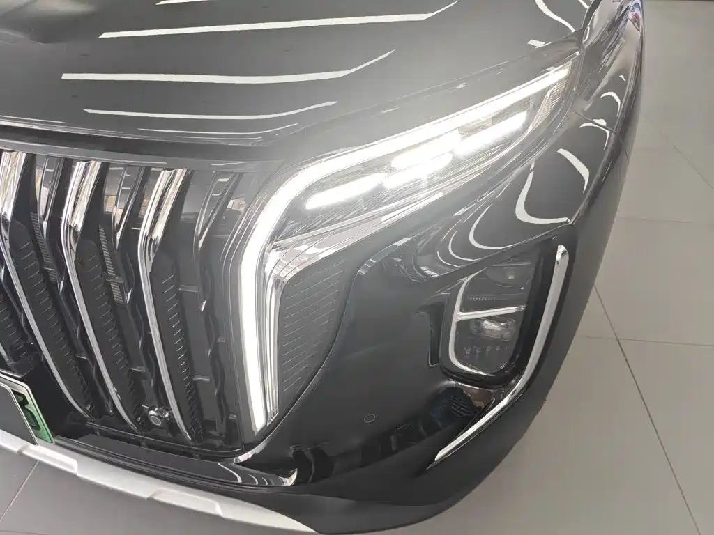 Hongqi Hongqi HS7 PHEV — миниатюра 18