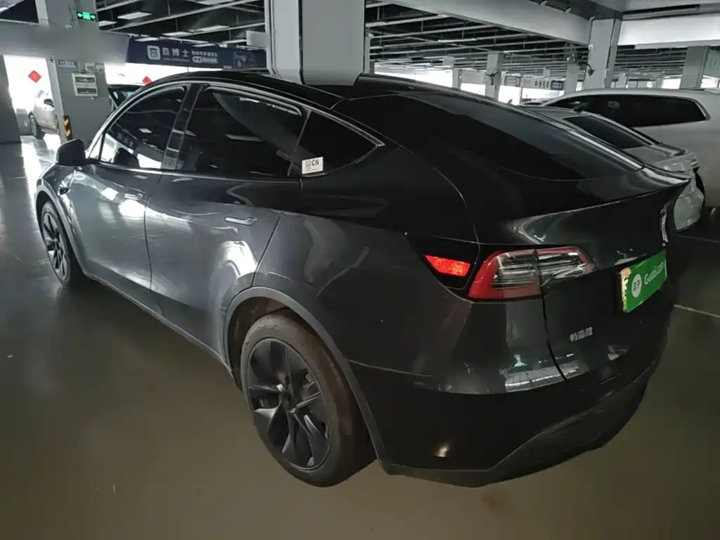 Tesla Model Y — миниатюра 5