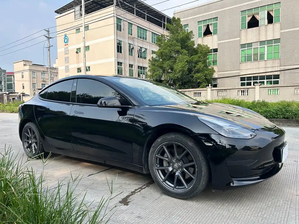 Tesla Model 3 — миниатюра 3