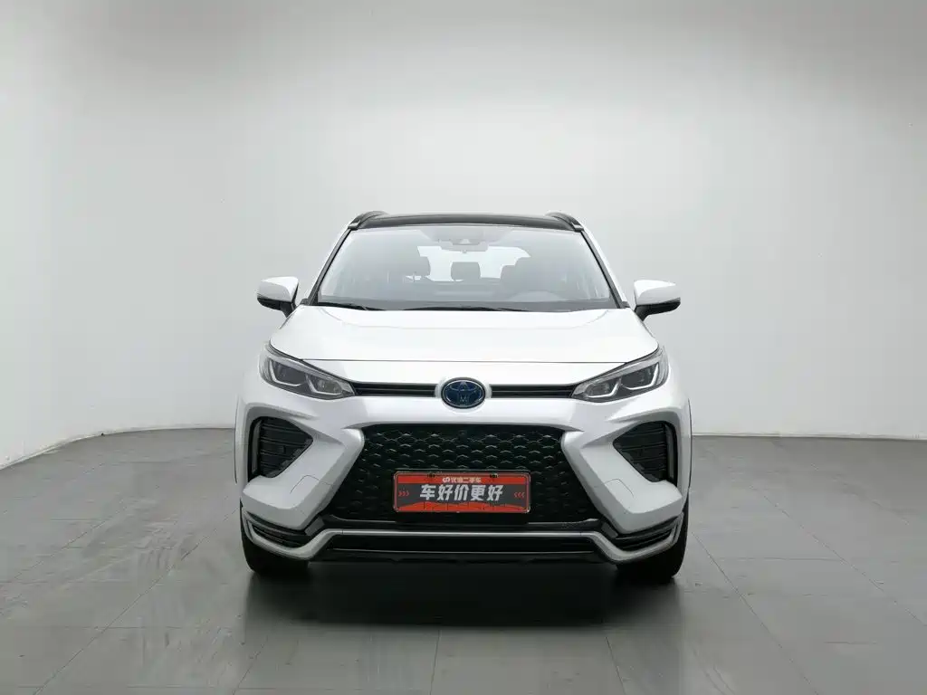 Toyota Wildlander New Energy — миниатюра 3