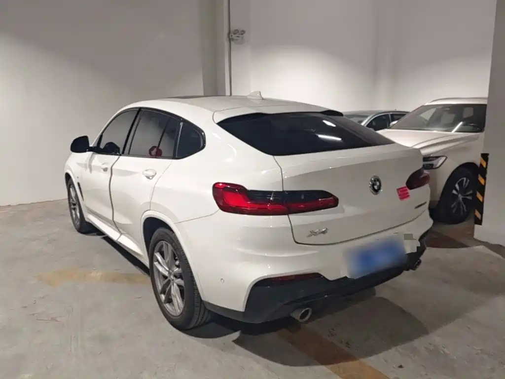 BMW X4 2020 xDrive25i M Sport