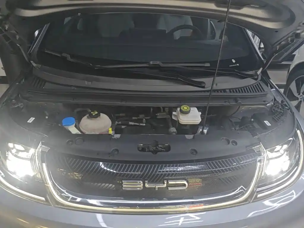 BYD Dolphin — миниатюра 20