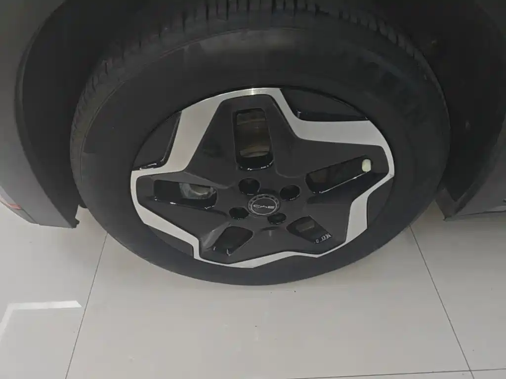 BYD Dolphin — миниатюра 23