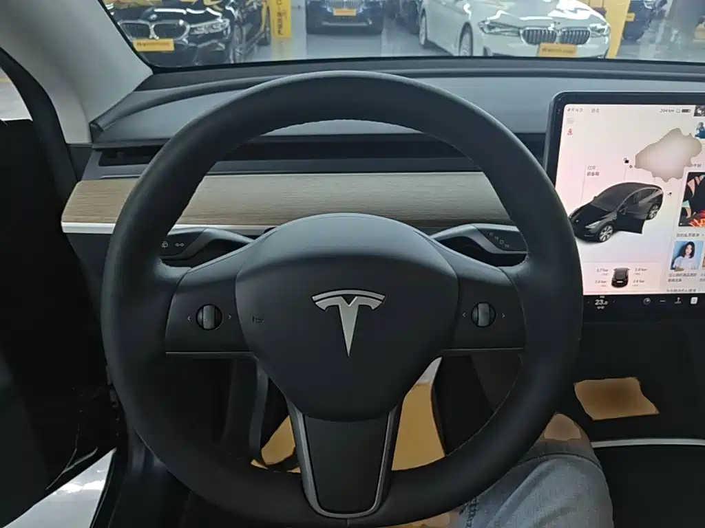 Tesla Model Y — миниатюра 11