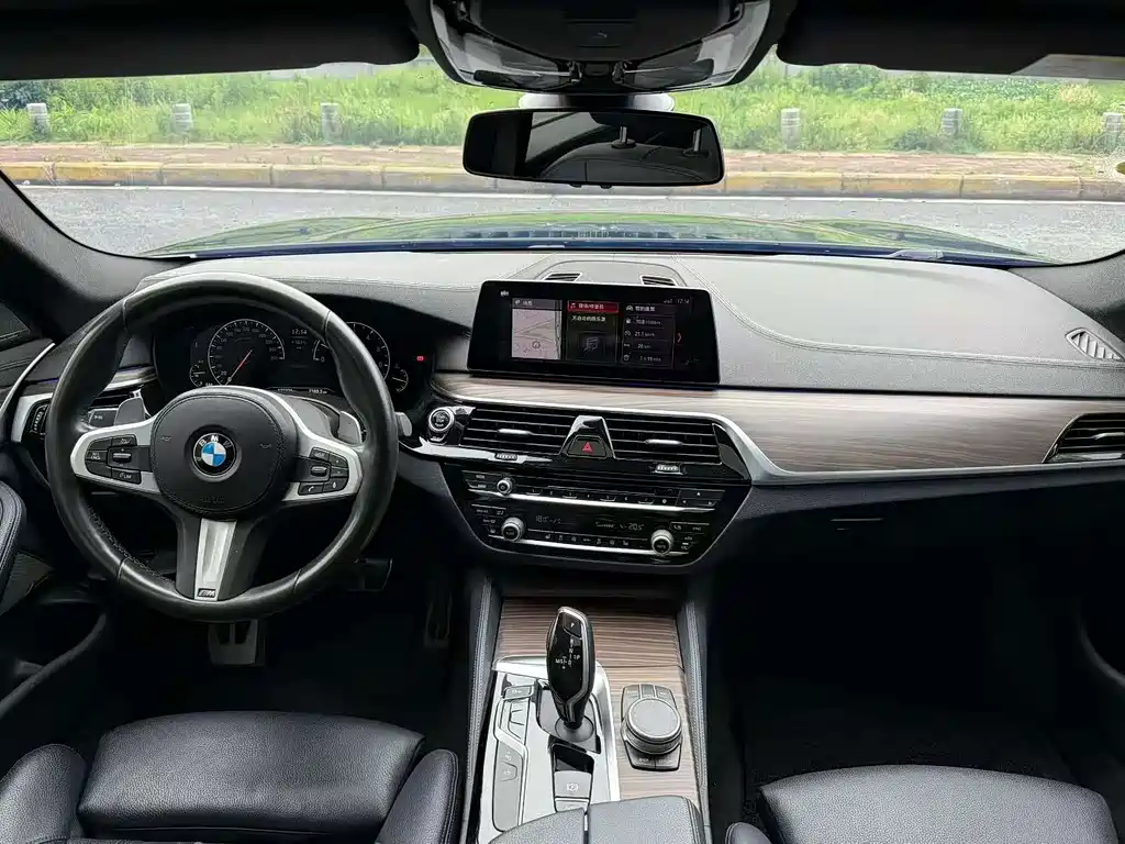 BMW 5 Series (Import) — миниатюра 4