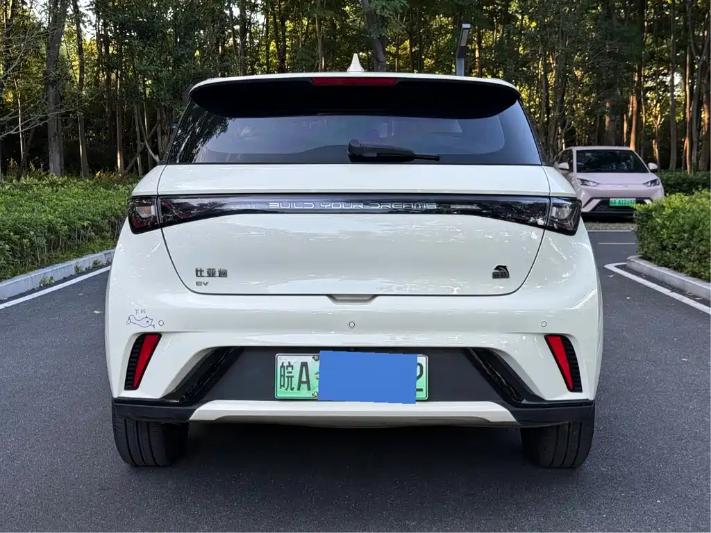 BYD Dolphin — миниатюра 5