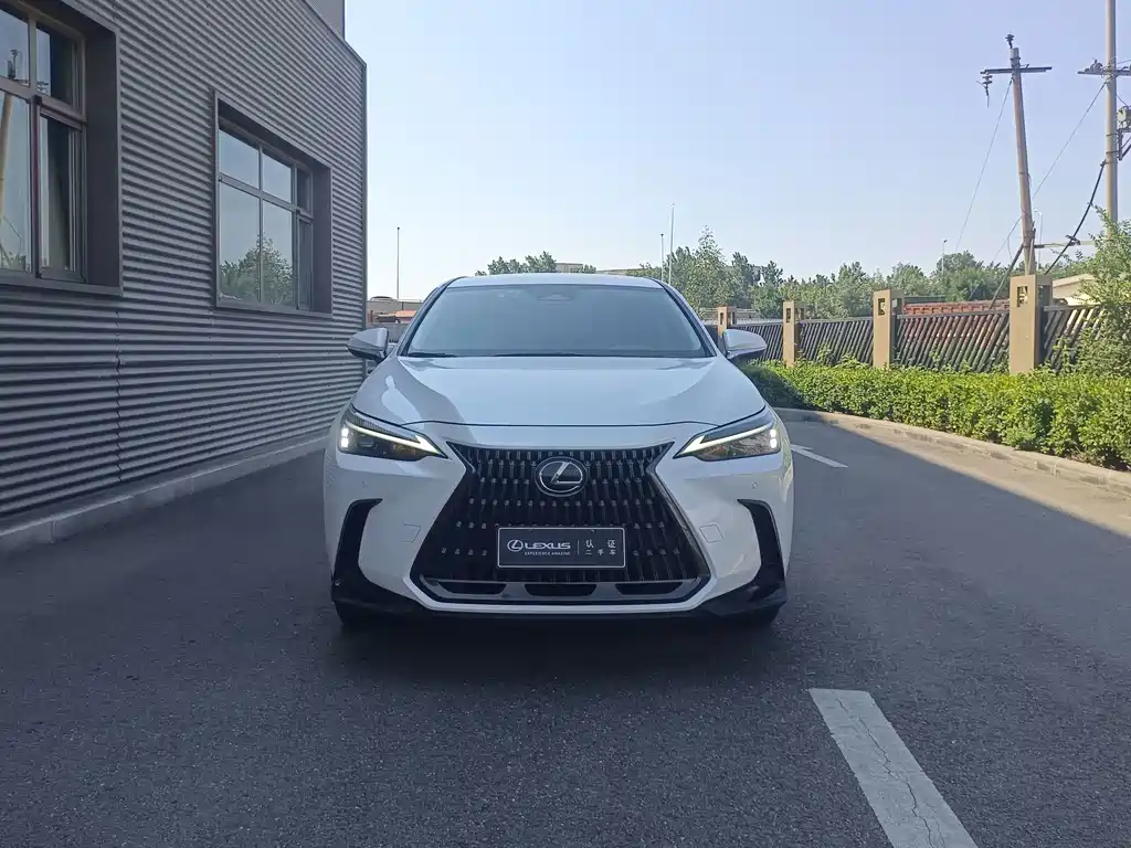 Lexus NX — миниатюра 2