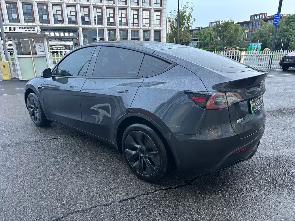 Tesla Model Y — миниатюра 10