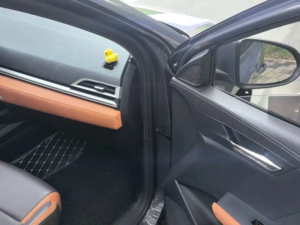 BYD e2 — миниатюра 19