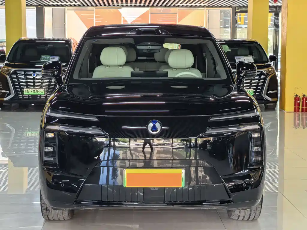 Denza Denza N8L — миниатюра 2