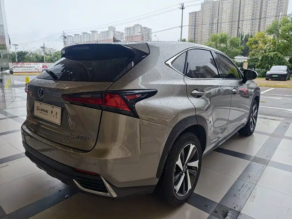 Lexus NX — миниатюра 10