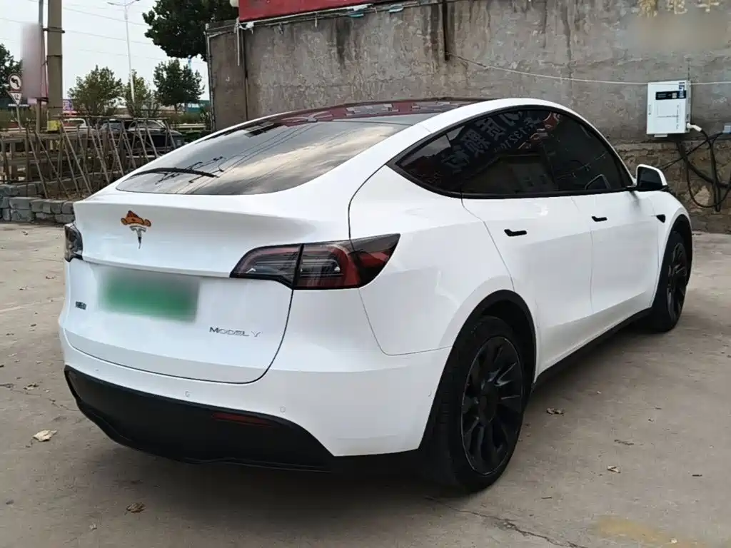 Tesla Model Y — миниатюра 7