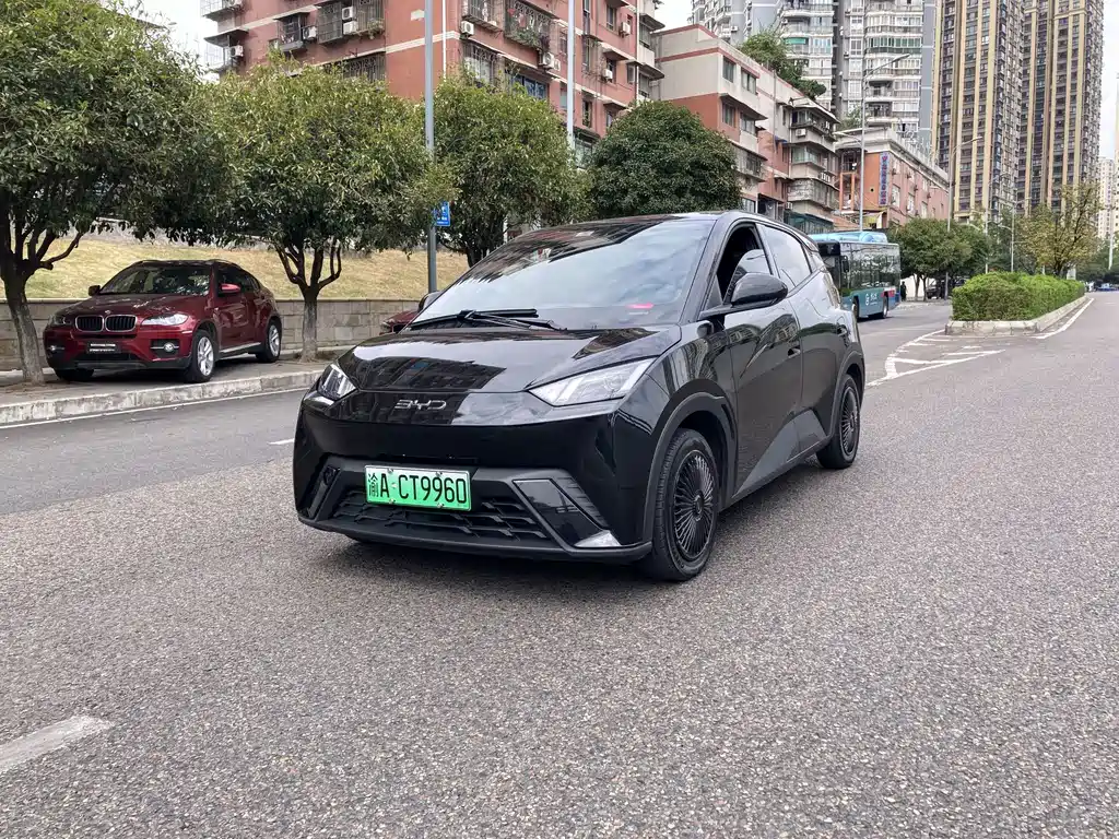 BYD Seagull