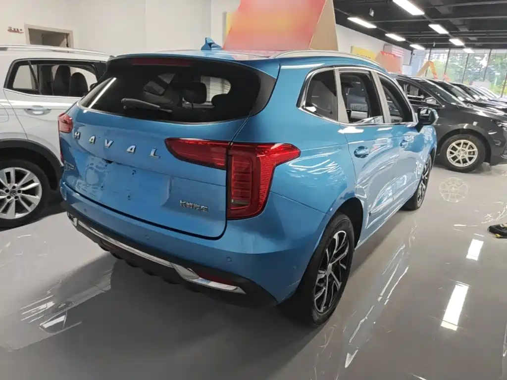 Haval Chulian — миниатюра 7