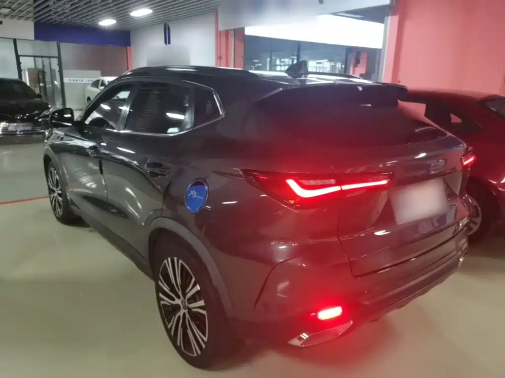 Oshan Oushang X5 — миниатюра 5