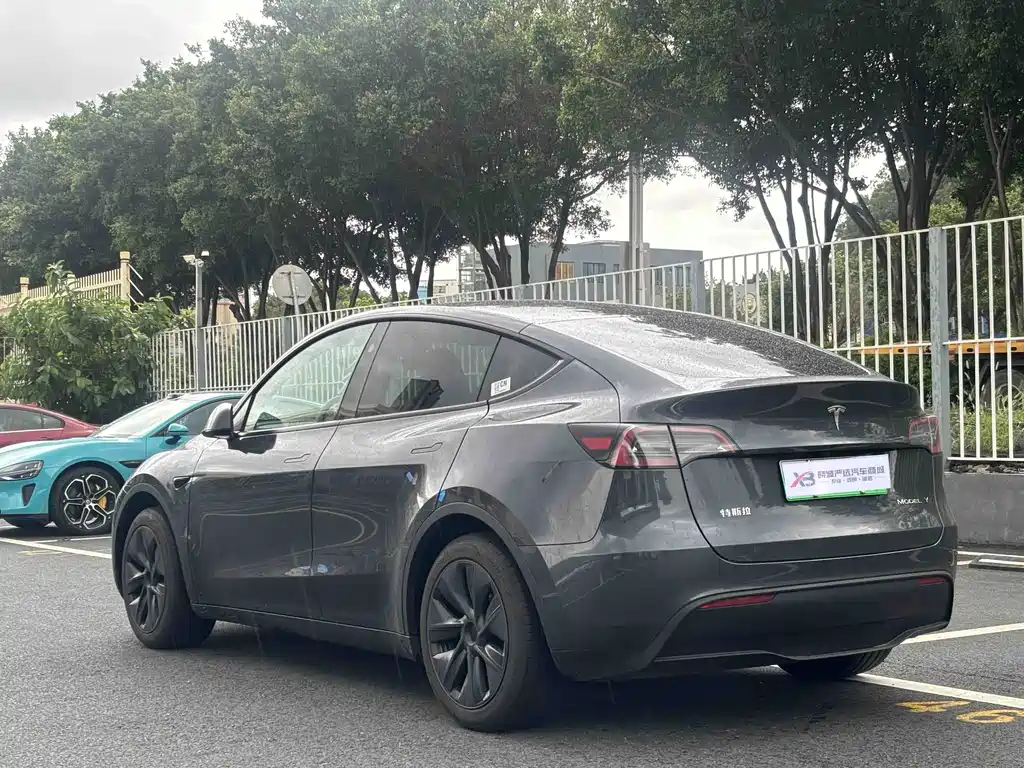 Tesla Model Y — миниатюра 7