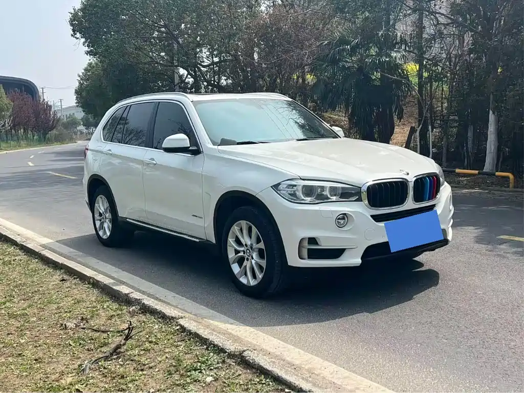 BMW X5 (Import) — миниатюра 3