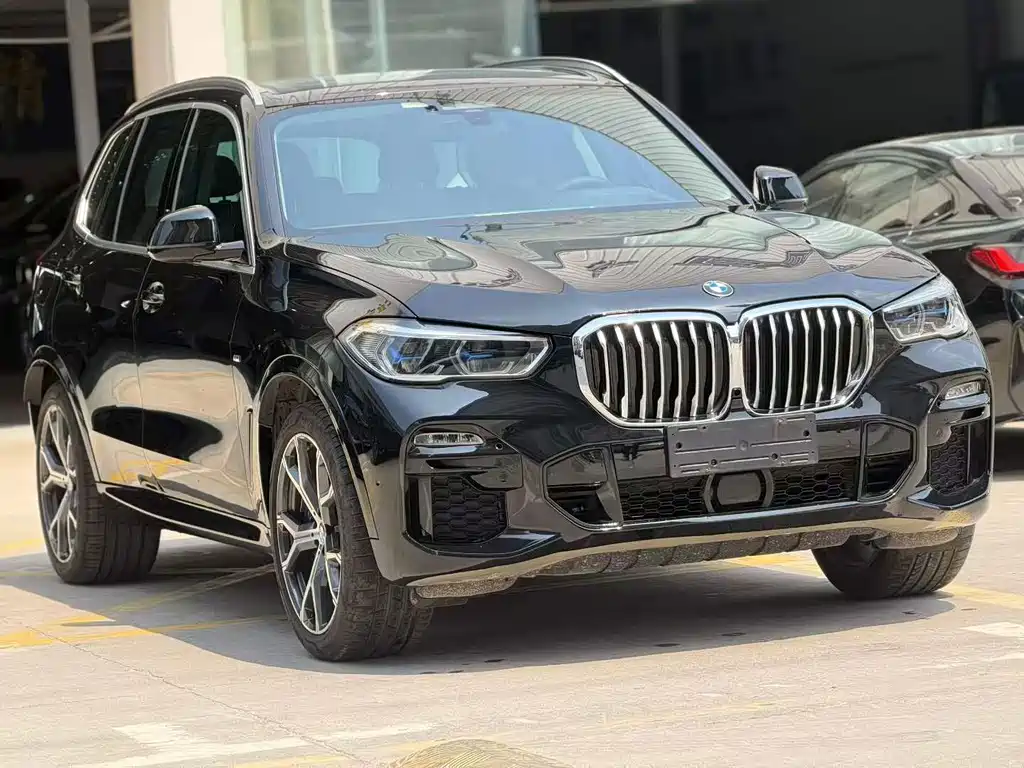 BMW X5 (Import) — миниатюра 3