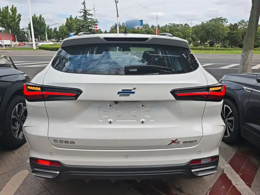 Oshan Oushang X5 — миниатюра 6