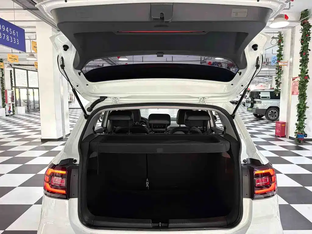 Volkswagen Tacqua — миниатюра 16