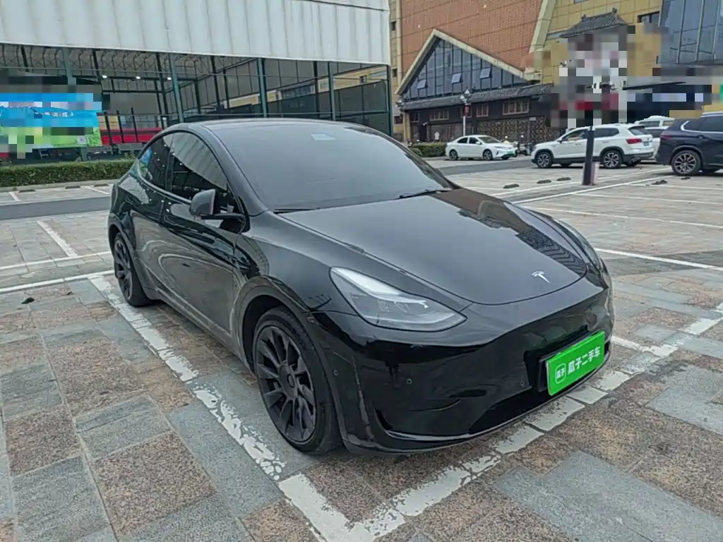 Tesla Model Y — миниатюра 4