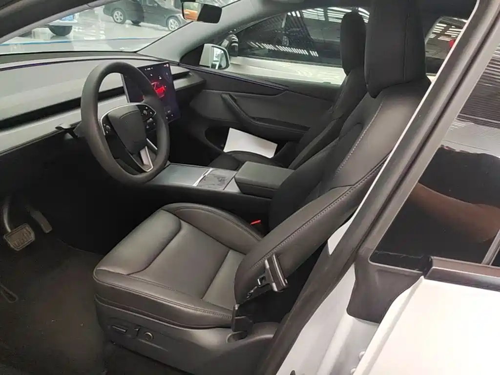 Tesla Model Y — миниатюра 15