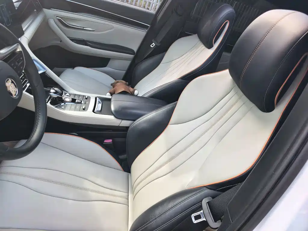 BYD PLUS New Energy — миниатюра 11