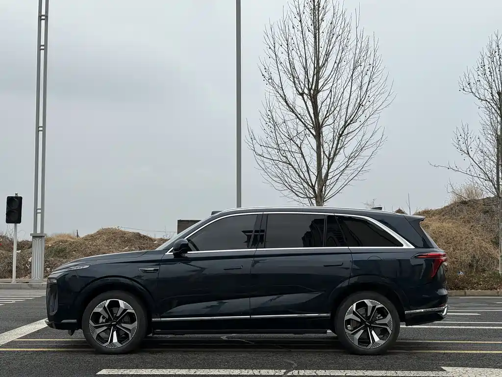 WEI PAI WEI BRAND BLUE MOUNTAIN