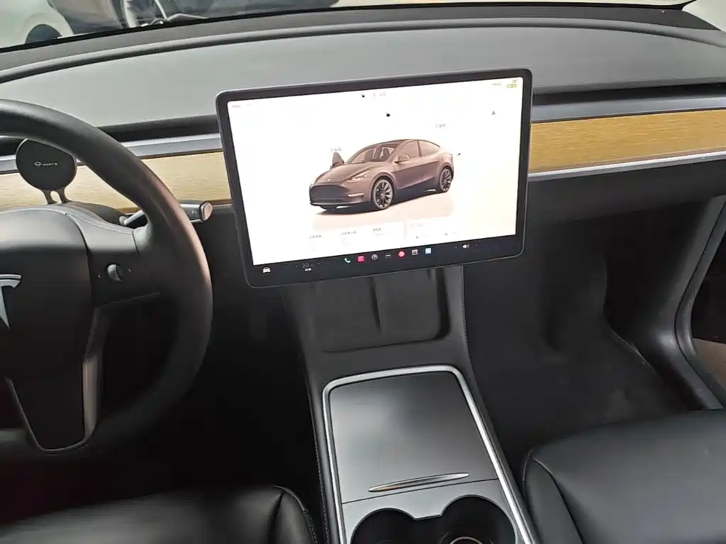 Tesla Model Y — миниатюра 13