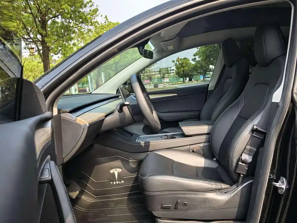Tesla Model Y — миниатюра 10