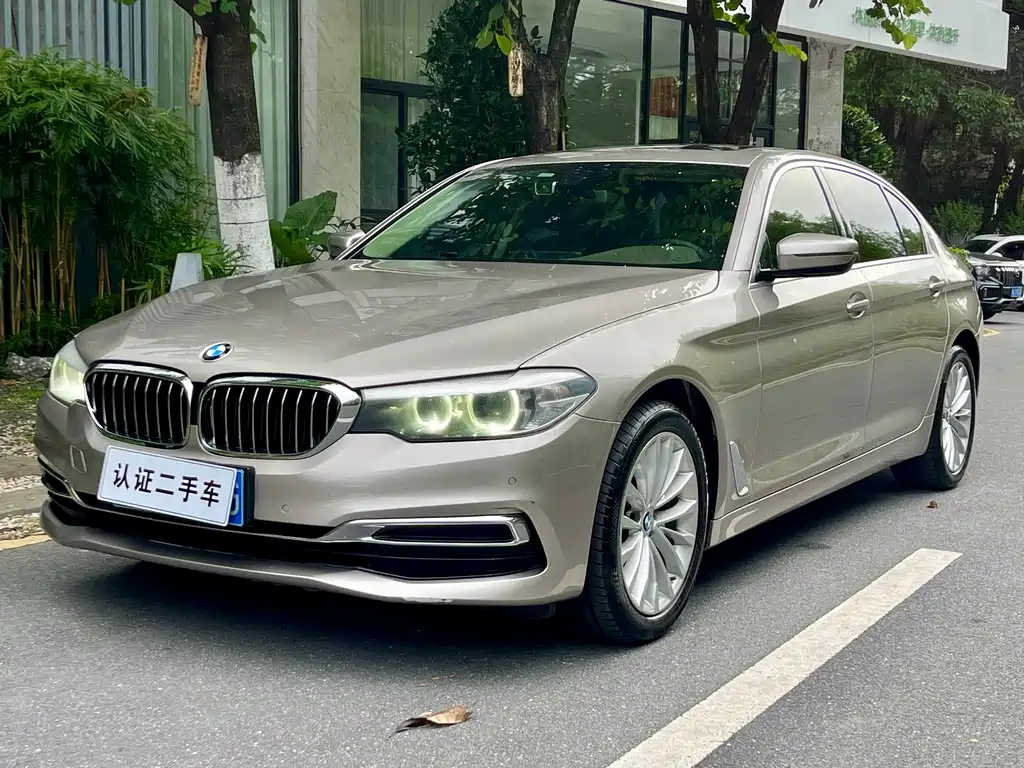 BMW 5 Series 2019