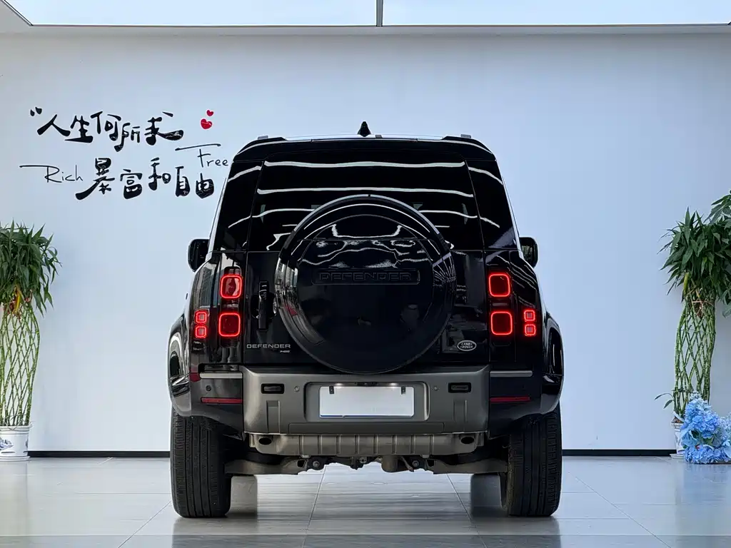 Land Rover Defender — миниатюра 20