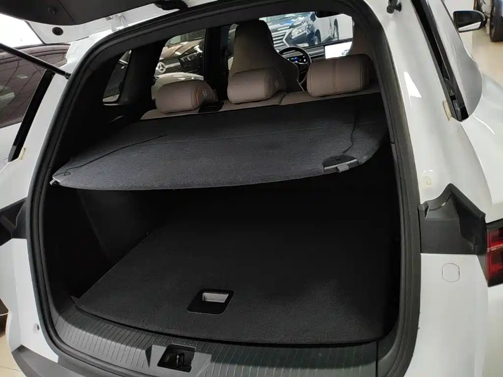BYD Pro New Energy — миниатюра 19