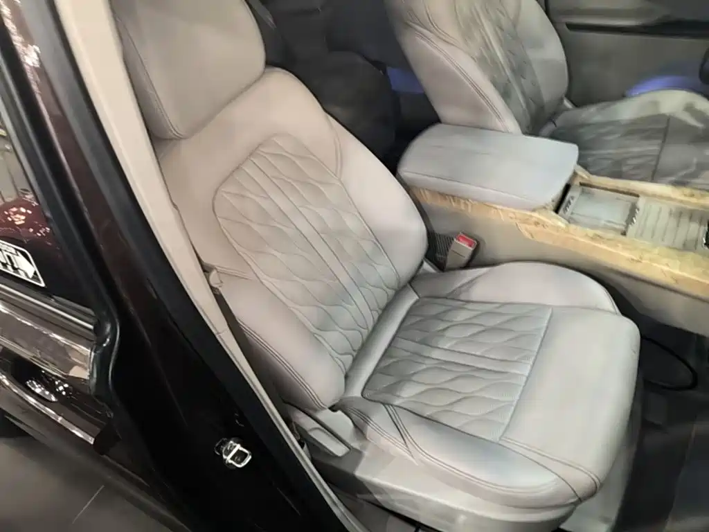 Buick GL8 — миниатюра 25