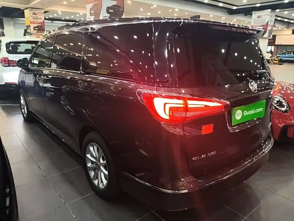 Buick GL8 — миниатюра 5