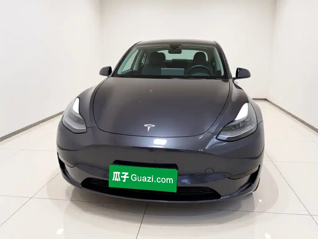 Tesla Model Y — миниатюра 2