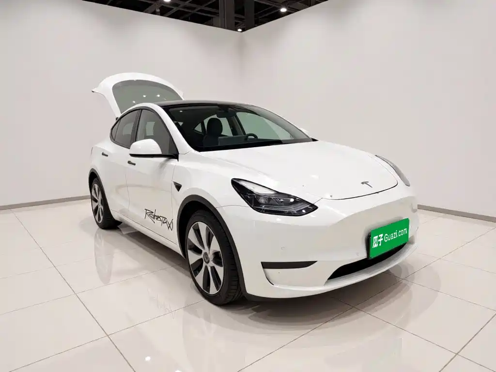 Tesla Model Y — миниатюра 3
