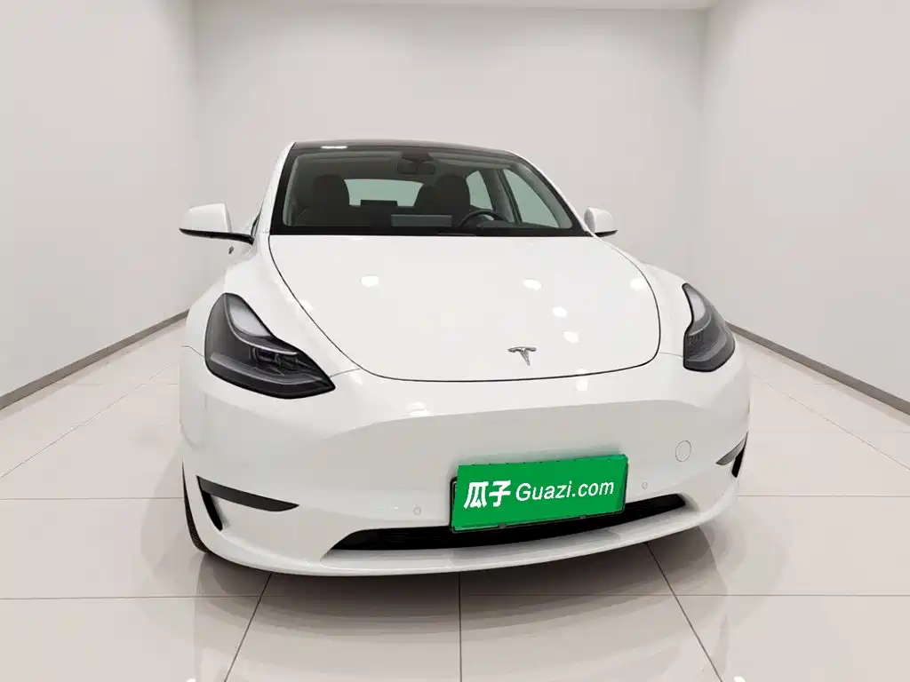 Tesla Model Y — миниатюра 2