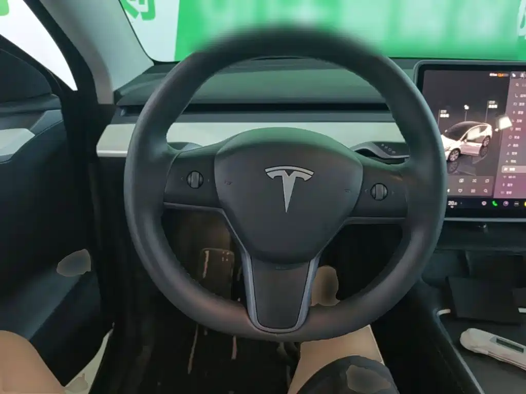 Tesla Model Y — миниатюра 11