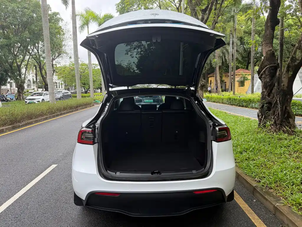 Tesla Model Y — миниатюра 15