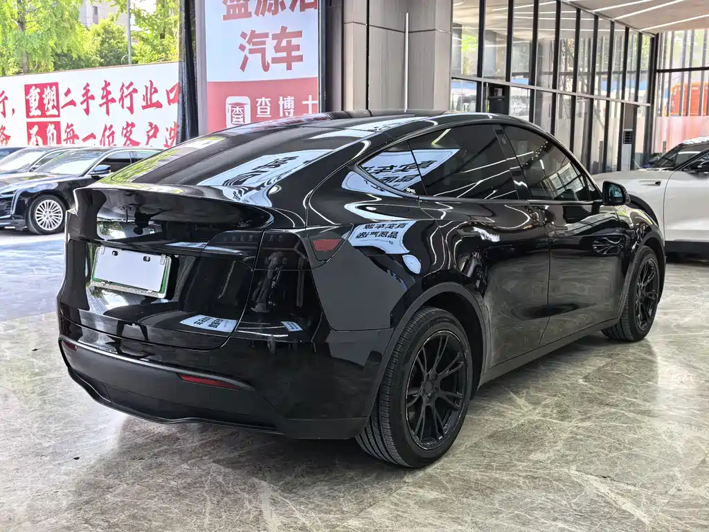 Tesla Model Y — миниатюра 7
