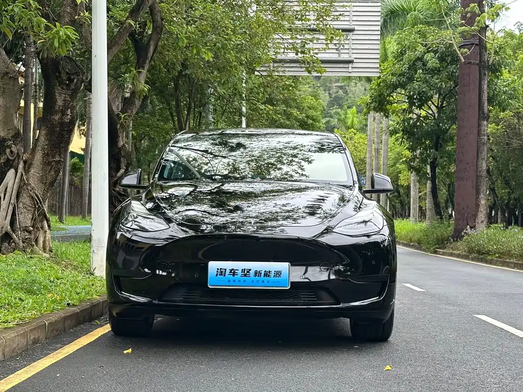 Tesla Model Y — миниатюра 3